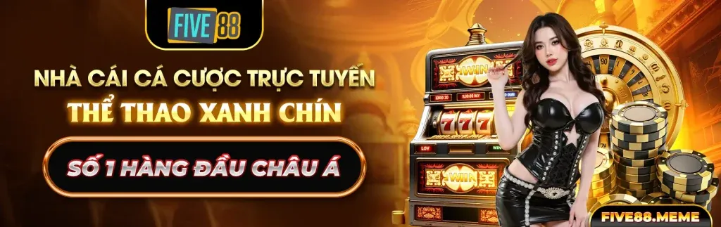 Tổng quan về đá gà Thomo và luật chơi
